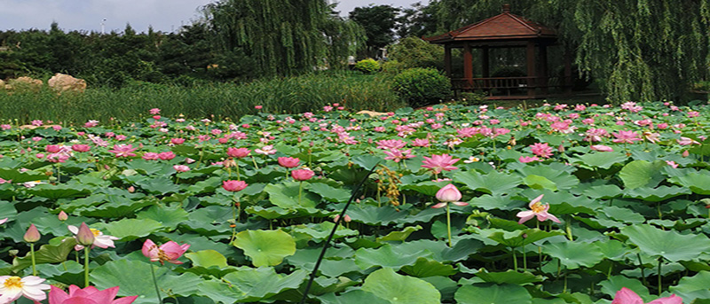 沈陽炎熱夏季到來，使用電加熱鍋爐需要注意的幾個方面你知道嗎