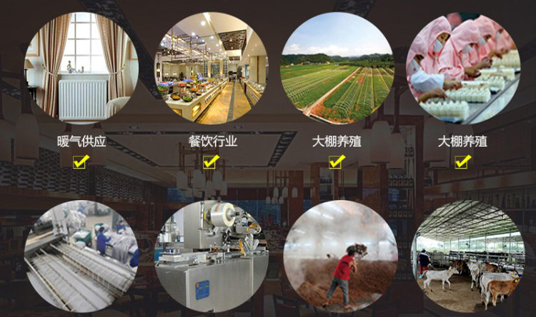 電磁蒸汽鍋爐發生器擁有廣泛的應用領域